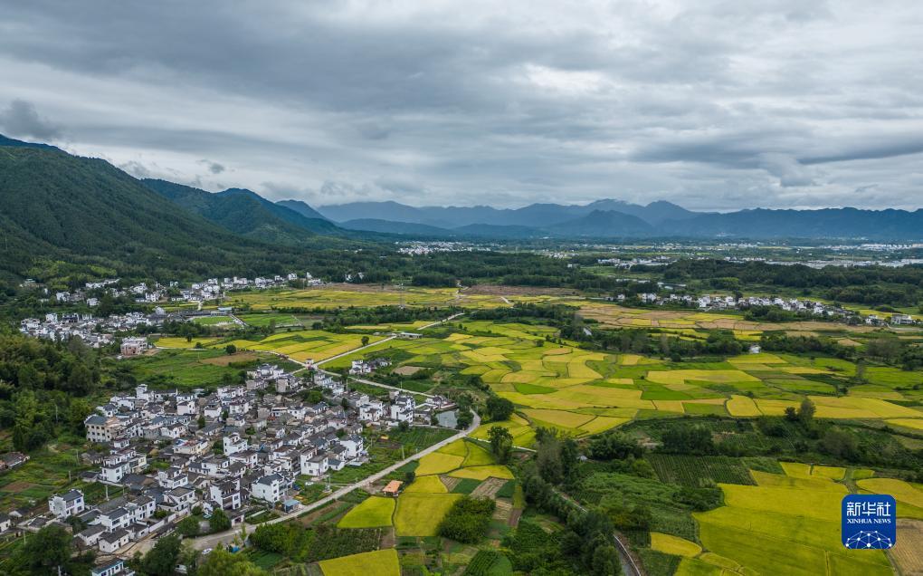 希尔顿电子游戏网站