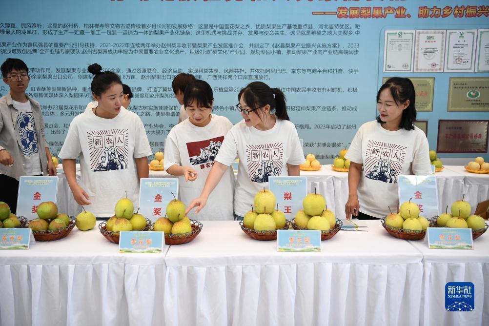 小网站棋牌
